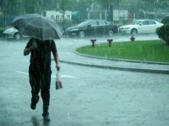 Україну накриють дощі та тумани: прогноз погоди на 12 листопада Україну-накриють-дощі-та-тумани:-прогноз-погоди-на-12-листопада