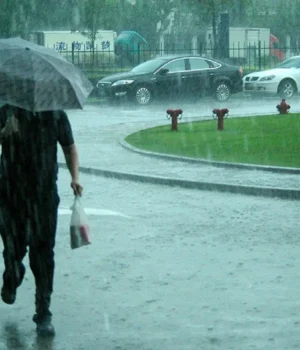 Україну-накриють-дощі-та-тумани:-прогноз-погоди-на-12-листопада