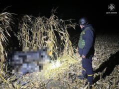 Поблизу Луцька виявили вибухонебезпечний предмет Поблизу-Луцька-виявили-вибухонебезпечний-предмет