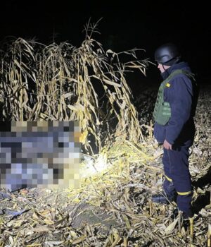 Поблизу-Луцька-виявили-вибухонебезпечний-предмет Поблизу-Луцька-виявили-вибухонебезпечний-предмет