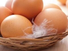 Ціни на яйця знову підскочать: чого очікувати українцям у грудні Ціни-на-яйця-знову-підскочать:-чого-очікувати-українцям-у-грудні