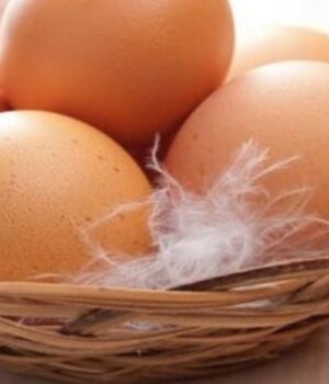 Ціни-на-яйця-знову-підскочать:-чого-очікувати-українцям-у-грудні Ціни-на-яйця-знову-підскочать:-чого-очікувати-українцям-у-грудні