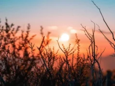 Україну очікує мінлива хмарність та потепління до +13° – Гідрометцентр Україну-очікує-мінлива-хмарність-та-потепління-до-+13°-–-Гідрометцентр