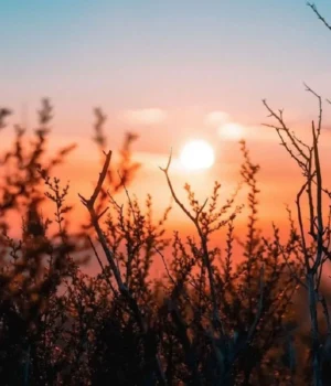 Україну-очікує-мінлива-хмарність-та-потепління-до-+13°-–-Гідрометцентр