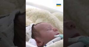Батькам платитимуть по 50 тисяч гривень за народження дитини! А потім ще по 7-8 тисяч!... Батькам платитимуть по 50 тисяч гривень за народження дитини! А потім ще по 7-8 тисяч!...