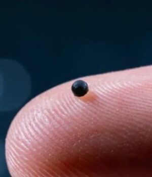 У-Швейцарії-розробили-мікроробота,-щоб-доставляти-ліки-через-судини У-Швейцарії-розробили-мікроробота,-щоб-доставляти-ліки-через-судини