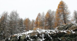 Українців попередили про різке похолодання та сніг: прогноз погоди на 16 листопада Українців-попередили-про-різке-похолодання-та-сніг:-прогноз-погоди-на-16-листопада