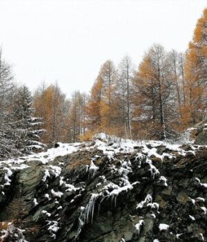 Українців-попередили-про-різке-похолодання-та-сніг:-прогноз-погоди-на-16-листопада Українців-попередили-про-різке-похолодання-та-сніг:-прогноз-погоди-на-16-листопада