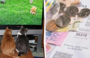 5 налаштувань телевізора, здатних скоротити споживання електроенергії без втрати якості 5-налаштувань-телевізора,-здатних-скоротити-споживання-електроенергії-без-втрати-якості