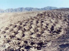 Учені знайшли пояснення походження загадкового поля ям в Перу Учені-знайшли-пояснення-походження-загадкового-поля-ям-в-Перу