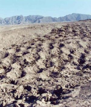 Учені-знайшли-пояснення-походження-загадкового-поля-ям-в-Перу Учені-знайшли-пояснення-походження-загадкового-поля-ям-в-Перу