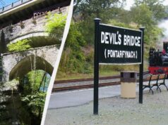 У Британії знаходиться таємничий ліс з Диявольським мостом: чому його так назвали У-Британії-знаходиться-таємничий-ліс-з-Диявольським-мостом:-чому-його-так-назвали