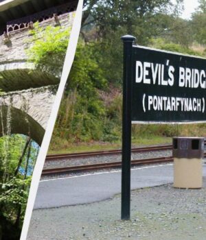 У-Британії-знаходиться-таємничий-ліс-з-Диявольським-мостом:-чому-його-так-назвали У-Британії-знаходиться-таємничий-ліс-з-Диявольським-мостом:-чому-його-так-назвали