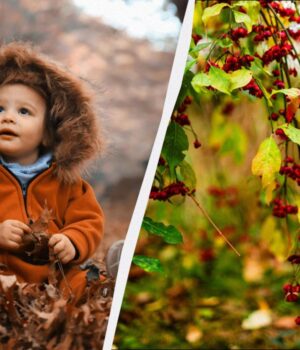 В-Україні-–-два-великі-офіційні-свята:-що-відзначаємо-16-листопада-і-кого-привітати В-Україні-–-два-великі-офіційні-свята:-що-відзначаємо-16-листопада-і-кого-привітати