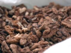 Чи вродили волоські горіхи та почім продають у Луцьку Чи-вродили-волоські-горіхи-та-почім-продають-у-Луцьку