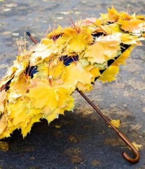 Якою-буде-погода-у-Луцьку-та-на-Волині-у-понеділок,-17-листопада Якою-буде-погода-у-Луцьку-та-на-Волині-у-понеділок,-17-листопада