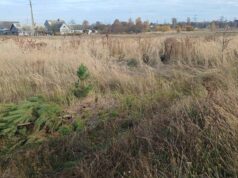 Громада на Волині продає з молотка комунальну землю. Де саме і за скільки Громада-на-Волині-продає-з-молотка-комунальну-землю.-Де-саме-і-за-скільки