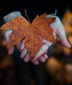 17-листопада-в-Україні-буде-тепло,-попереду-–-похолодання 17-листопада-в-Україні-буде-тепло,-попереду-–-похолодання