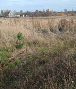 Громада-на-Волині-продає-з-молотка-комунальну-землю.-Де-саме-і-за-скільки