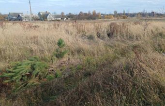 Громада на Волині продає з молотка комунальну землю. Де саме і за скільки Громада-на-Волині-продає-з-молотка-комунальну-землю.-Де-саме-і-за-скільки