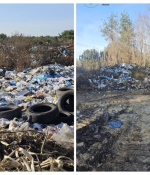 На-території-Ратнівської-громади-екологи-виявили-два-стихійні-сміттєзвалища На-території-Ратнівської-громади-екологи-виявили-два-стихійні-сміттєзвалища