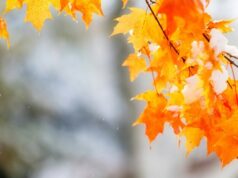 Синоптики прогнозують на Волині цього тижня сніг та ожеледицю Синоптики-прогнозують-на-Волині-цього-тижня-сніг-та-ожеледицю