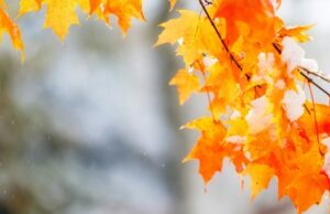 Синоптики прогнозують на Волині цього тижня сніг та ожеледицю Синоптики-прогнозують-на-Волині-цього-тижня-сніг-та-ожеледицю