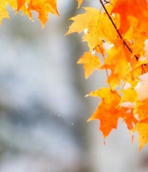 Синоптики-прогнозують-на-Волині-цього-тижня-сніг-та-ожеледицю Синоптики-прогнозують-на-Волині-цього-тижня-сніг-та-ожеледицю