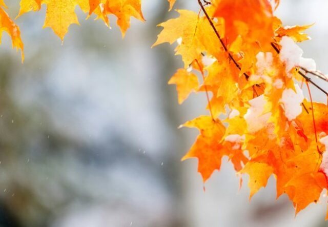 Синоптики прогнозують на Волині цього тижня сніг та ожеледицю Синоптики-прогнозують-на-Волині-цього-тижня-сніг-та-ожеледицю