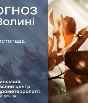 Якою-буде-погода-у-Луцьку-та-на-Волині-у-вівторок,-18-листопада