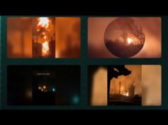 USF Group Results Report for October 2025. Eyes and Stinging – Worm Horror (ВІДЕО) USF Group Results Report for October 2025. Eyes and Stinging – Worm Horror (ВІДЕО)