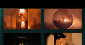 USF Group Results Report for October 2025. Eyes and Stinging – Worm Horror (ВІДЕО) USF Group Results Report for October 2025. Eyes and Stinging – Worm Horror (ВІДЕО)