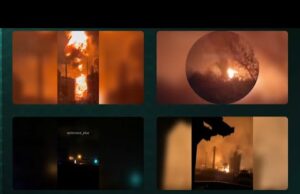 USF Group Results Report for October 2025. Eyes and Stinging – Worm Horror (ВІДЕО) USF Group Results Report for October 2025. Eyes and Stinging – Worm Horror (ВІДЕО)