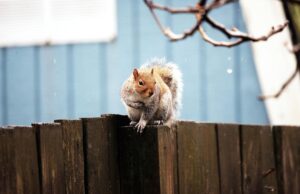 18 листопада в Україну увірветься сильне похолодання: температура впаде до +2°…+4° 18-листопада-в-Україну-увірветься-сильне-похолодання:-температура-впаде-до-+2°…+4°