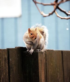 18-листопада-в-Україну-увірветься-сильне-похолодання:-температура-впаде-до-+2°…+4°