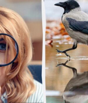 Треба-знайти-3-відмінності-за-12-секунд:-напрочуд-простий-тест-для-перевірки-iq Треба-знайти-3-відмінності-за-12-секунд:-напрочуд-простий-тест-для-перевірки-iq