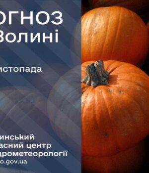 Якою-буде-погода-у-Луцьку-та-на-Волині-у-середу,-19-листопада Якою-буде-погода-у-Луцьку-та-на-Волині-у-середу,-19-листопада