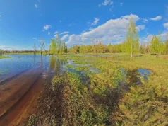 Три обласні центри України опиняються під загрозою затоплення через кліматичні зміни Три обласні центри України опиняються під загрозою затоплення через кліматичні зміни