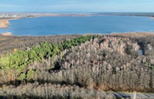 Болота біля Шацьких озер перетворюються на ліс, науковці хочуть втручатися. ФОТО Болота-біля-Шацьких-озер-перетворюються-на-ліс,-науковці-хочуть-втручатися.-ФОТО