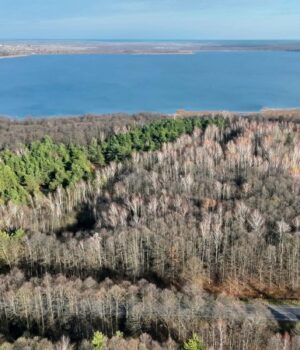 Болота-біля-Шацьких-озер-перетворюються-на-ліс,-науковці-хочуть-втручатися.-ФОТО Болота-біля-Шацьких-озер-перетворюються-на-ліс,-науковці-хочуть-втручатися.-ФОТО
