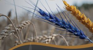 22 листопада у Нововолинську відбудеться Година пам’яті «Скорботна тиша минулого» 22-листопада-у-Нововолинську-відбудеться-Година-пам’яті-«Скорботна-тиша-минулого»