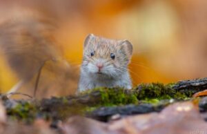 20 листопада погода в Україні покращиться 20-листопада-погода-в-Україні-покращиться