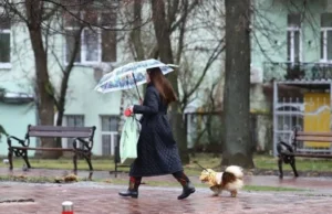 Хмарно і зимно: де чекати дощів в Україні 20 листопада Хмарно-і-зимно:-де-чекати-дощів-в-Україні-20-листопада