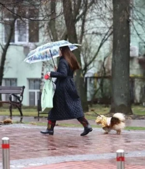 Хмарно-і-зимно:-де-чекати-дощів-в-Україні-20-листопада