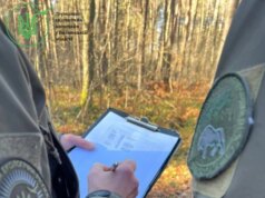 На Волині невідомі знищили заповідного лісу на 2 мільйони гривень На-Волині-невідомі-знищили-заповідного-лісу-на-2-мільйони-гривень