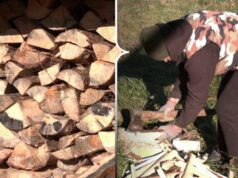 Громада на Волині надає переселенцям дрова та торф Громада-на-Волині-надає-переселенцям-дрова-та-торф