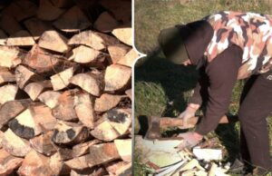 Громада на Волині надає переселенцям дрова та торф Громада-на-Волині-надає-переселенцям-дрова-та-торф