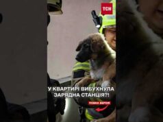 Пожежа в Києві! У квартирі вибухнула зарядна станція?! (ВІДЕО) Пожежа в Києві! У квартирі вибухнула зарядна станція?! (ВІДЕО)
