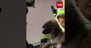 Пожежа в Києві! У квартирі вибухнула зарядна станція?! (ВІДЕО) Пожежа в Києві! У квартирі вибухнула зарядна станція?! (ВІДЕО)