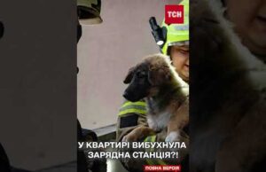 Пожежа в Києві! У квартирі вибухнула зарядна станція?! (ВІДЕО) Пожежа в Києві! У квартирі вибухнула зарядна станція?! (ВІДЕО)